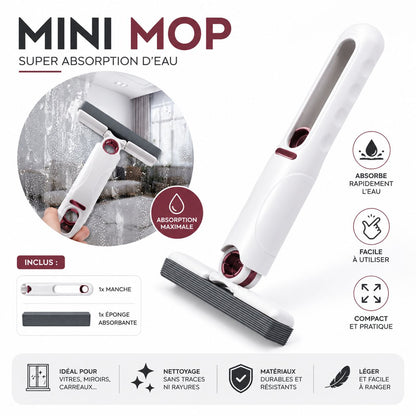 Le Mini Mop Qui Absorbe Tout